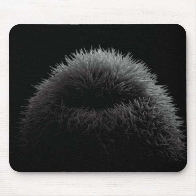 Mousepad Silhueta de B&W (Frente)