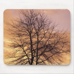 Mousepad Silhueta de uma árvore com o céu cor-de-rosa e