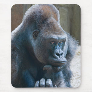 Mousepad Silverback Fazendo uma Pose
