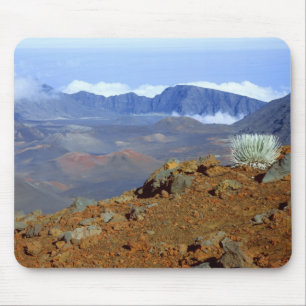 Mousepad Silversword no cume da cratera Haleakala a partir