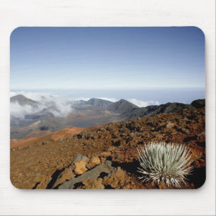 Mousepad Silversword no cume da cratera Haleakala de perto
