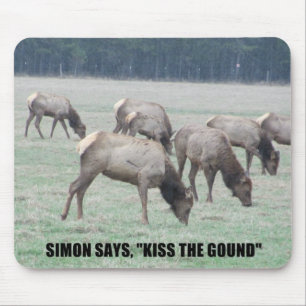 Mousepad Simon diz…