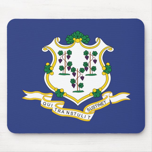 Mousepad Sinalizador do Estado de Conexão (Frente)