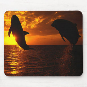 Mousepad Sinfonia dos golfinhos no por do sol