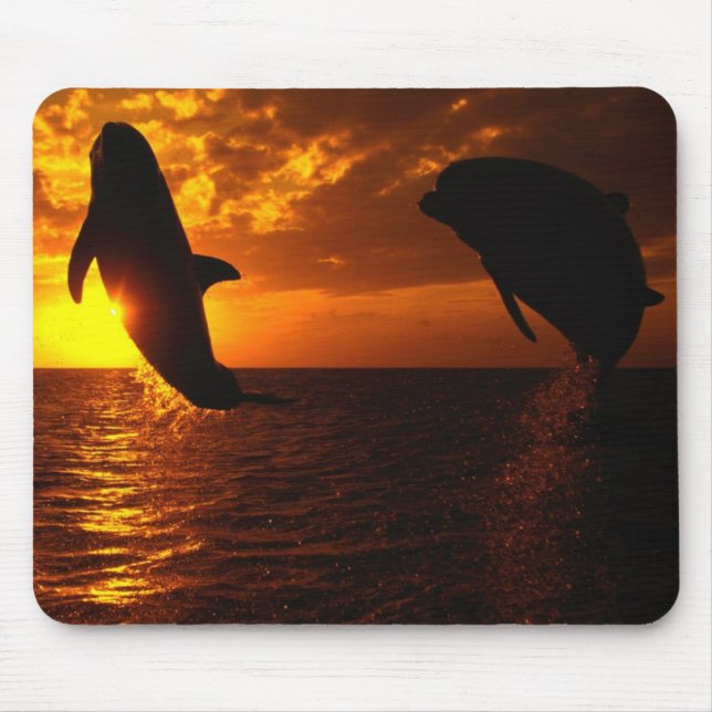 Mousepad Sinfonia dos golfinhos no por do sol (Frente)