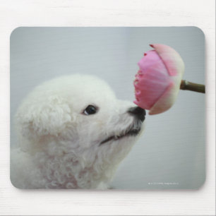 Mousepad Singapore 9
