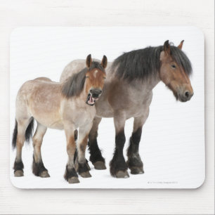 Mousepad Sira de mãe e foal sorrindo, cavalo belga, belga