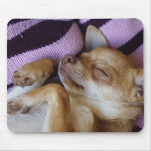 Mousepad Sleeping Chihuahua