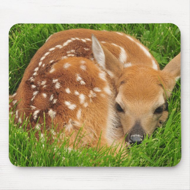 Mousepad Sleepy Baby Fawn (Frente)