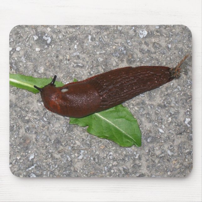 Mousepad Slug (Frente)