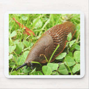 Mousepad Slug