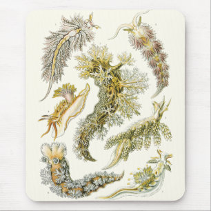 Mousepad Slugs e caracóis de mar do vintage por Ernst