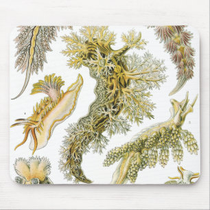 Mousepad Slugs e caracóis de mar do vintage por Ernst