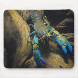 Mousepad Smooth Yabby