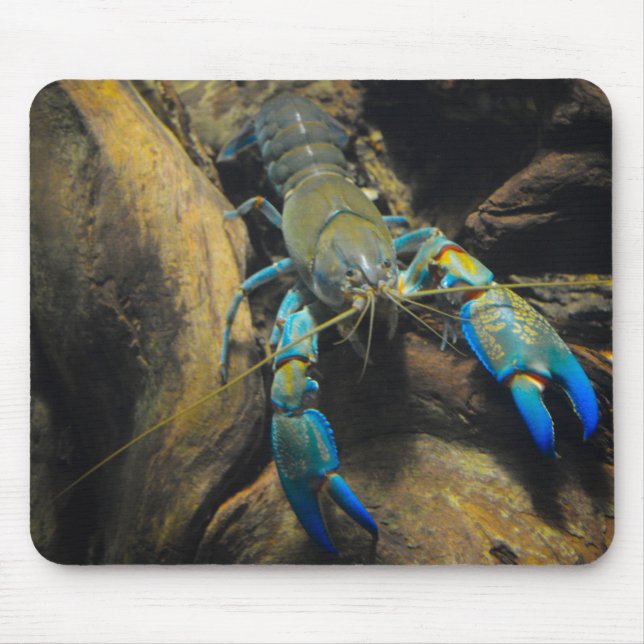 Mousepad Smooth Yabby (Frente)