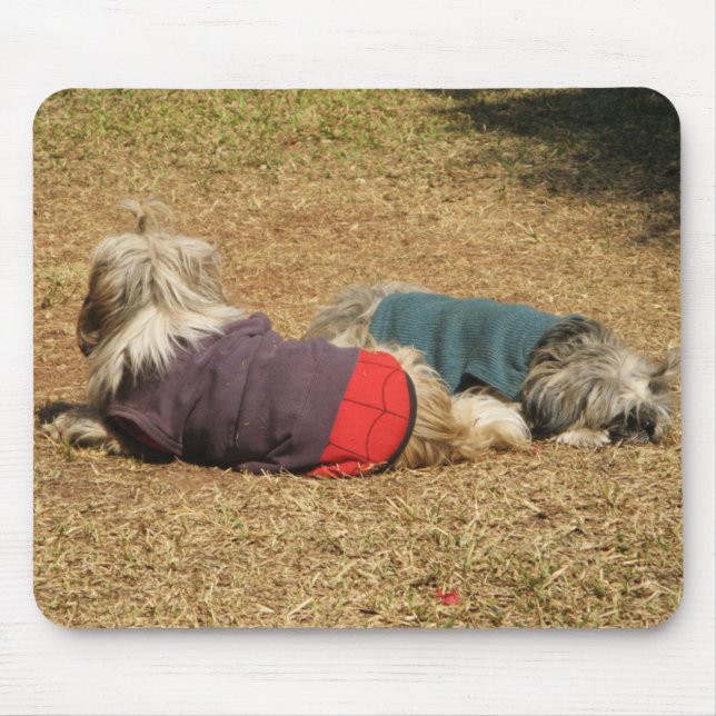 Mousepad Snoozing em Nong Khai (Frente)