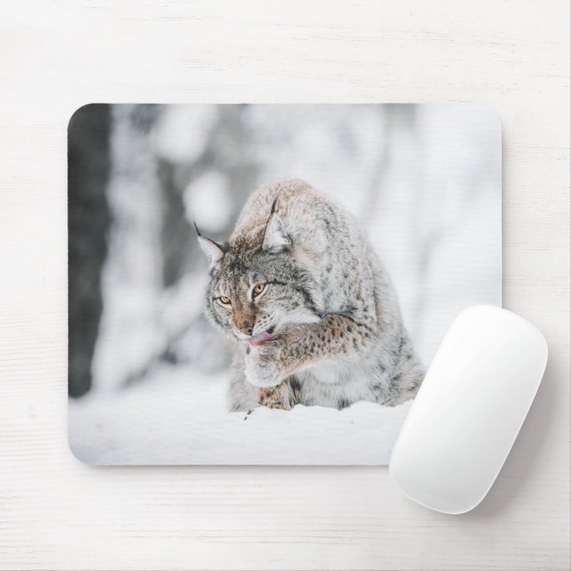 Mousepad Snow Lynx (Com mouse)