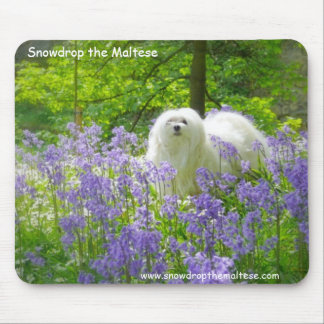 Mousepad Snowdrop o maltês