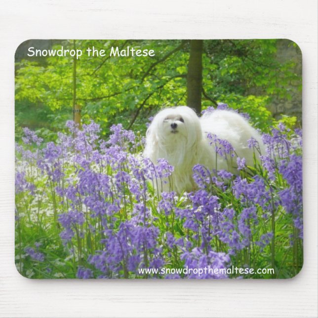 Mousepad Snowdrop o maltês (Frente)