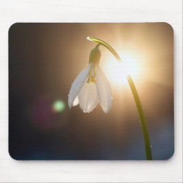 Mousepad Snowdrop with Dewdrops in Sunlight