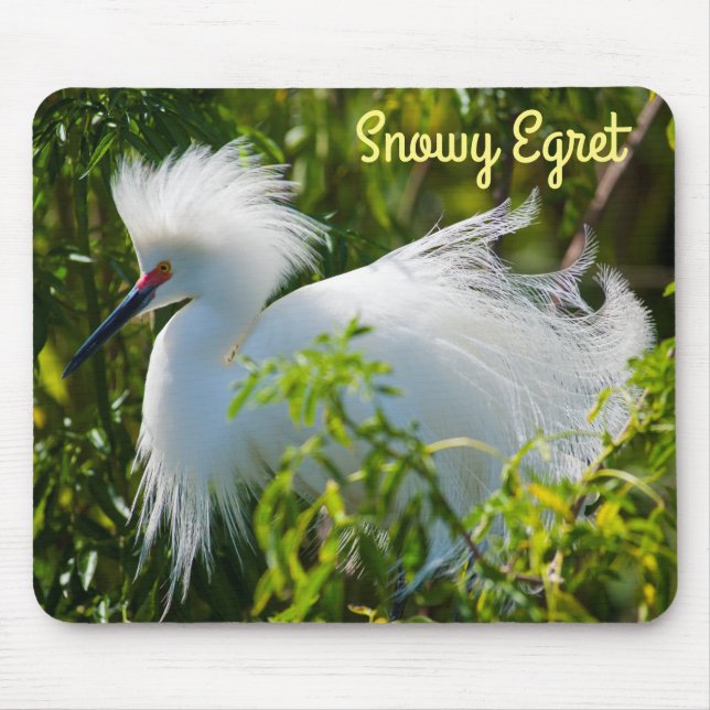 Mousepad Snowy Egret (Frente)
