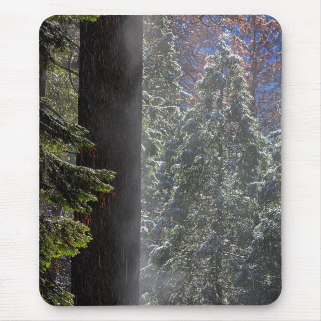 Mousepad Snowy Mist na Floresta (Frente)