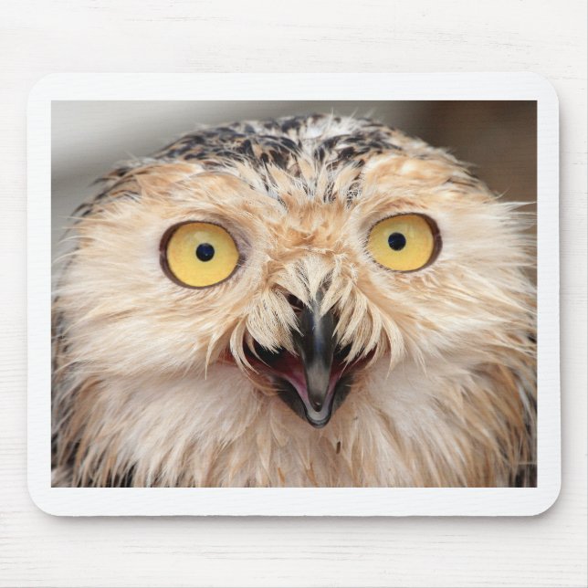 Mousepad Snowy Owl (Frente)