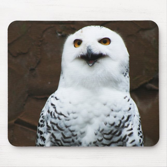 Mousepad Snowy Owl mpcna (Frente)