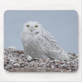 Mousepad Snowy Owl nas conchas