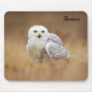 Mousepad Snowy Owl Themed Mouse Pag