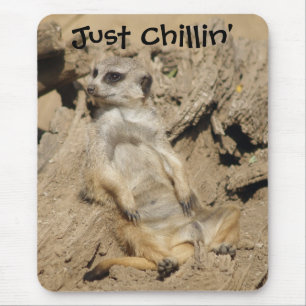 Mousepad Só estou a empinar o rato de fotografia do Meerkat