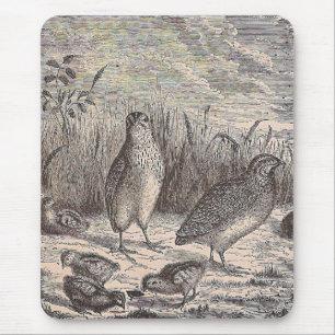 Mousepad Só Quail
