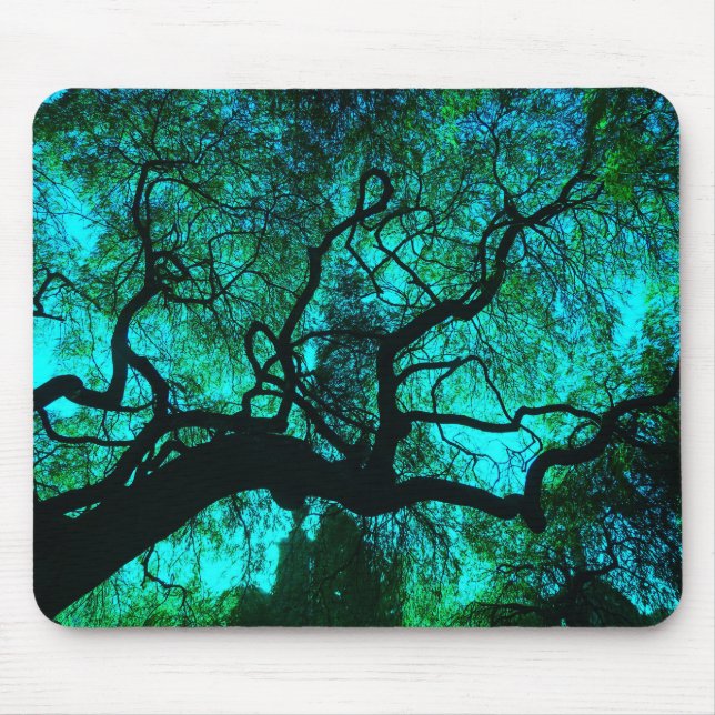 Mousepad Sob a árvore em turquesa III (Frente)