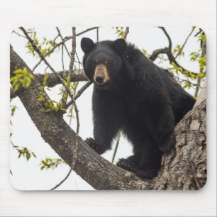 Mousepad Sobe Urso Negro