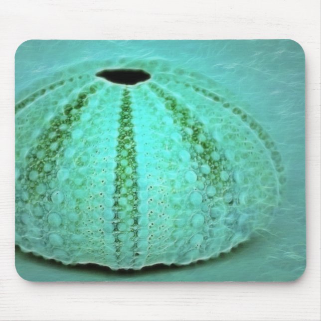 Mousepad sobras (Frente)