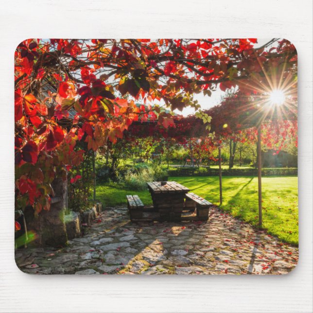 Mousepad Sol através das folhas de outono, Croácia (Frente)