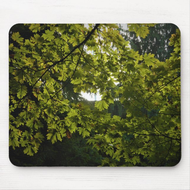 Mousepad Sol através de Folhas Verdes (Frente)