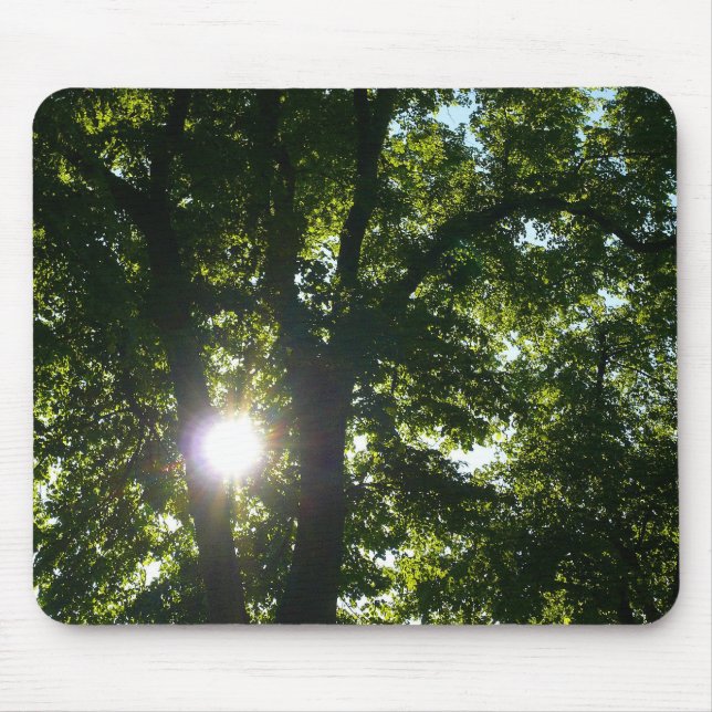 Mousepad Sol brilhando através de árvores (Frente)