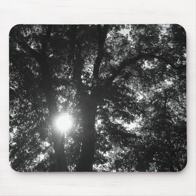 Mousepad Sol brilhando através de árvores (Frente)