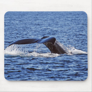 Mousepad Solha da baleia de Humpback, Victoria, BC