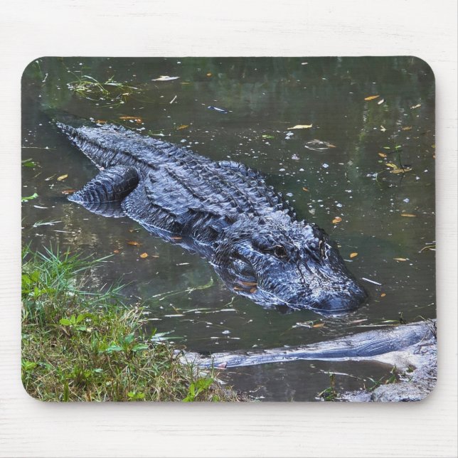 Mousepad Sombra nas Águas Rasas (Frente)