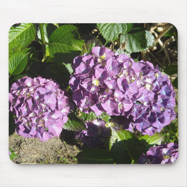 Mousepad Sombras de Hidrangea Púrpura (Frente)