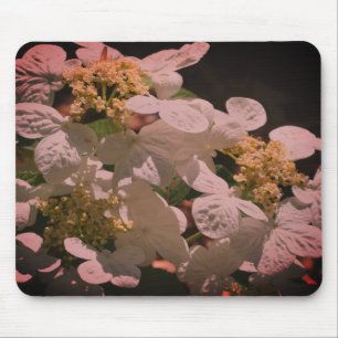 Mousepad Sombras E Luminosas Lacecap Hidrangea Flor