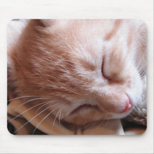 Mousepad Sonhando com o rato