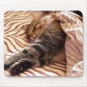 Mousepad Sonho do veldt