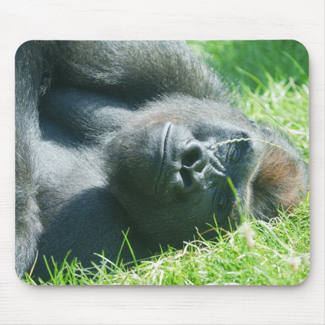 Mousepad Sonho Pacífico de Verão do Gorila Lope (Frente)