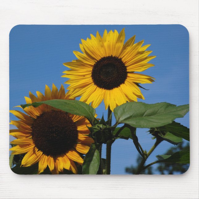 Mousepad Sonnenblumen (Frente)