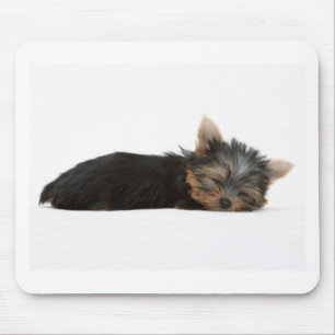 Mousepad Sono do filhote de cachorro de Yorkie