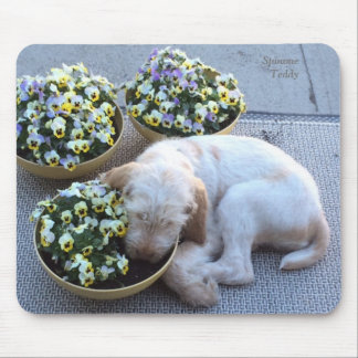 Mousepad Sono w/Pansies do ~ do ursinho do ~ de Winterborn