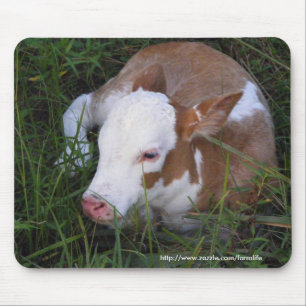 Mousepad sonolento da vitela do bebê